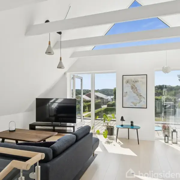 Stue med sort sofa og fladskærms-tv på tv-bord, oplyst af sollys fra store vinduer. Hylde fyldt med bøger i højre side og et landskabsbillede på væggen.