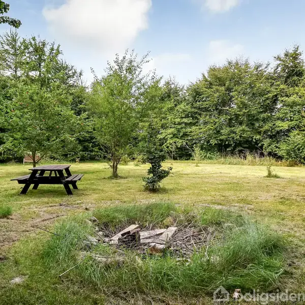 En træbænk står stille midt i en grøn have ved siden af en bålplads omringet af højt græs, omgivet af tætte træer under en blå himmel.