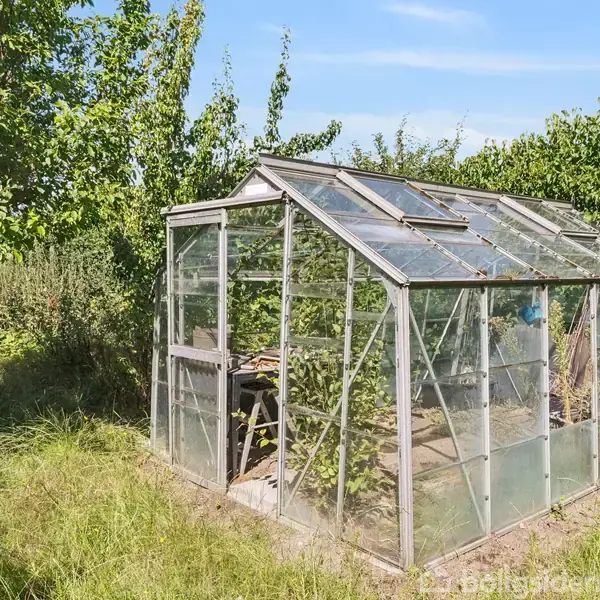 Drivhus af glas står stille i en frodig have omgivet af høje grønne træer og græs. Indeni ses haveudstyr og nogle planter, mens sollys rammer taget.