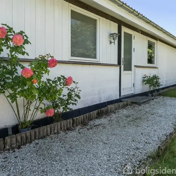 Hus med hvid facade, prydet med blomstrende rosentræer, ligger langs en grussti. Omkringliggende grøn have skaber en fredfyldt stemning.
