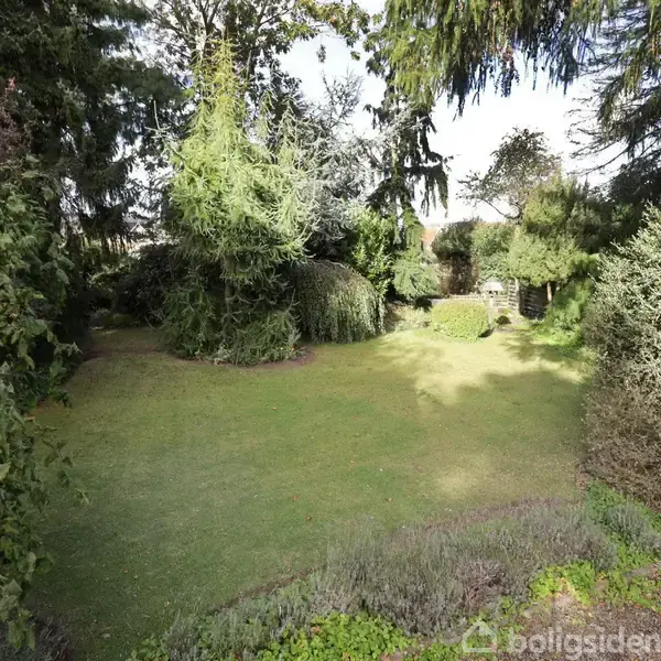 En frodig have viser tæt bevoksede buske og træer, der omgiver en åben græsplæne. Sollys skaber skygger i den grønne omgivelser. teksten "Boligsiden" er synlig nederst i højre hjørne.