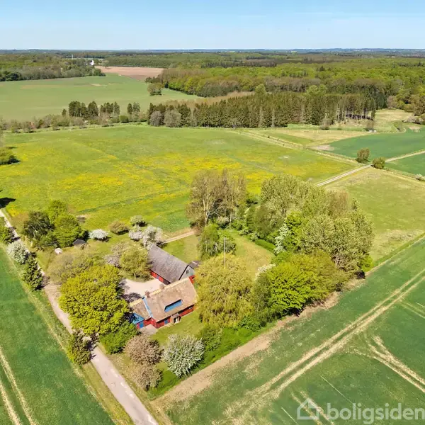 Gård omgivet af grønne marker og en skov i horisonten. Bygningerne er omkranset af træer, og vejen fører til ejendommen blandt de åbne marker.