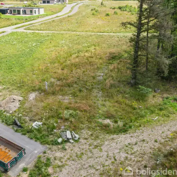 En container står stille på en asfalteret vej ved siden af et ubebygget græsareal med vilde planter. Baggrunden viser flere træer og spredte stier i et grønt område.