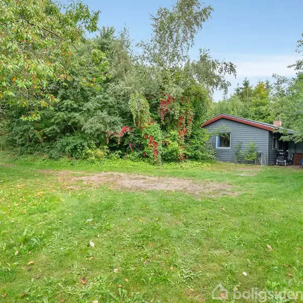 Et sommerhus står stille omgivet af frodig, grøn vegetation. En blå bil holder parkeret ved siden af huset. Omkring er der en græsplæne med spredte træer og buske.