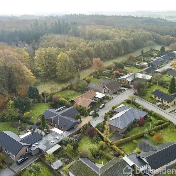 Et parcelhuskvarter omgivet af tæt skovgrænse. Huse med haver langs en vej. Efterårsløv farver træerne orange og grønt i baggrunden.