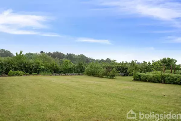 Græsplæne strækker sig over et åbent område omgivet af træer og buske under en blå himmel med få skyer.