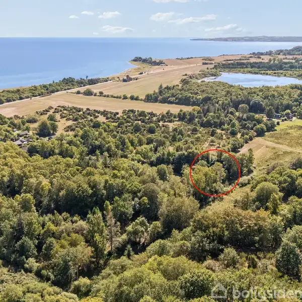 Luftfoto af skovområde med en cirkel markeret omkring et specifikt område. Baggrunden viser havet, en sø, og åbne marker, hvilket giver et naturskønt landskabsindtryk.