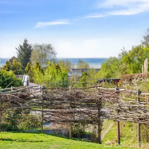 En flethegn står foran en udsigt til havet, omgivet af grønne træer og buske, der skaber en fredfyldt atmosfære i en åben have.