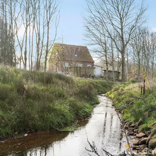 Et hus med stråtag står stille bag et lille vandløb omgivet af græs og nøgne træer. Skyfri himmel og spredte buske skaber en idyllisk, naturlig landskabsstemning.