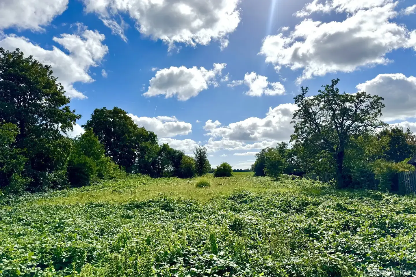 full year plot - Holtug Linievej 18A+B+C, 4660 Store Heddinge - Visning 3