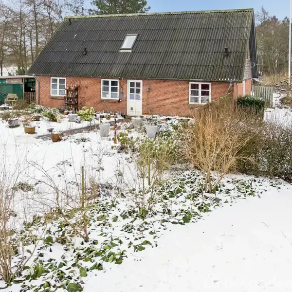 Et rødt hus med gråt tag står stille i et snedækket landskab. Foran huset er der sne og vinterplanter. I baggrunden er der træer og himmel.
