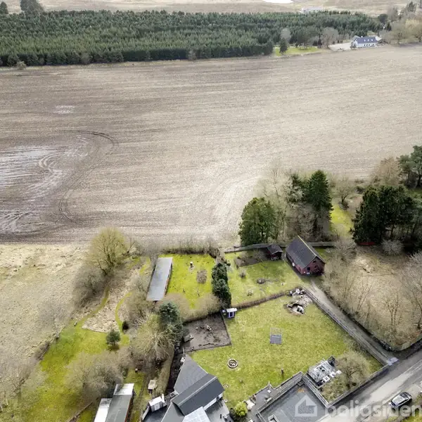 Boligområde med flere huse omgivet af træer og haver, placeret langs en vej ved siden af store, åbne marker og en skov i baggrunden.