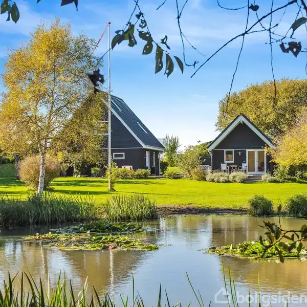 To sorte huse står stille ved siden af et lille dam, omgivet af grønne træer og græs på en solrig dag.