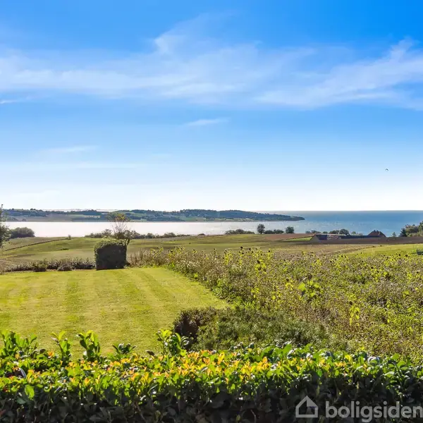 Græsplæne strækker sig mod en fjord i baggrunden under en klar blå himmel, omgivet af marker og træer.