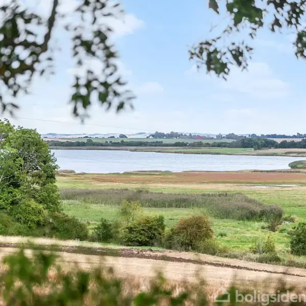 Landskab med en sø omgivet af grønne marker og træer. I forgrunden er der grene og blade, mens horisonten viser en klar blå himmel.