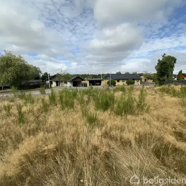 En tør eng med spredt grønt græs står urørt foran en række huse med træer og buske i en boligkvarter. Skydækket himmel i baggrunden.