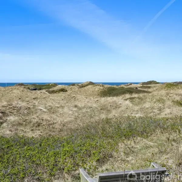Klitter står stille i en sandet kystnære landskab, med klart blåt hav og himmel i baggrunden. Ingen tekst er til stede.