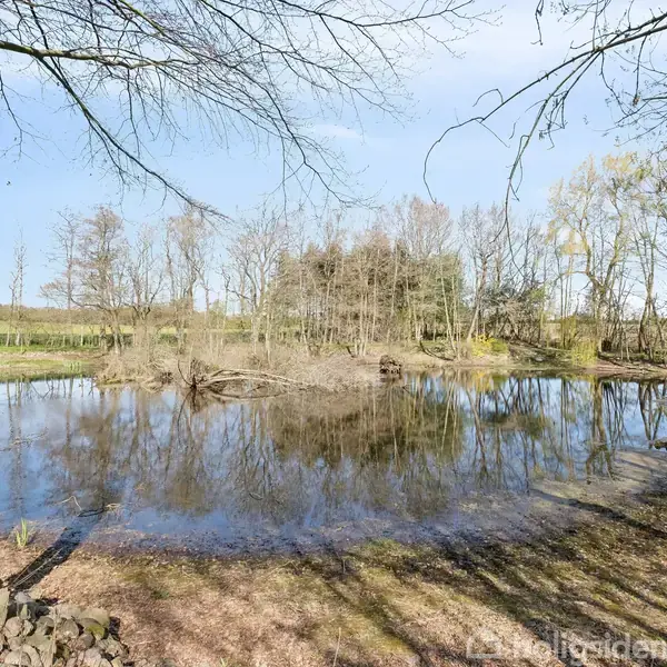 En stille sø reflekterer nøgne træer, der omgiver vandet. Området er præget af en naturpræget skovkant, der skaber en rolig og fredfyldt atmosfære under en klar blå himmel.