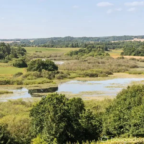 Sø i forgrund omgivet af tæt, grøn vegetation, mens bakker og skov danner baggrund. Himlen er klar med et par skyer. Markant flodløb skærer gennem landskabet.