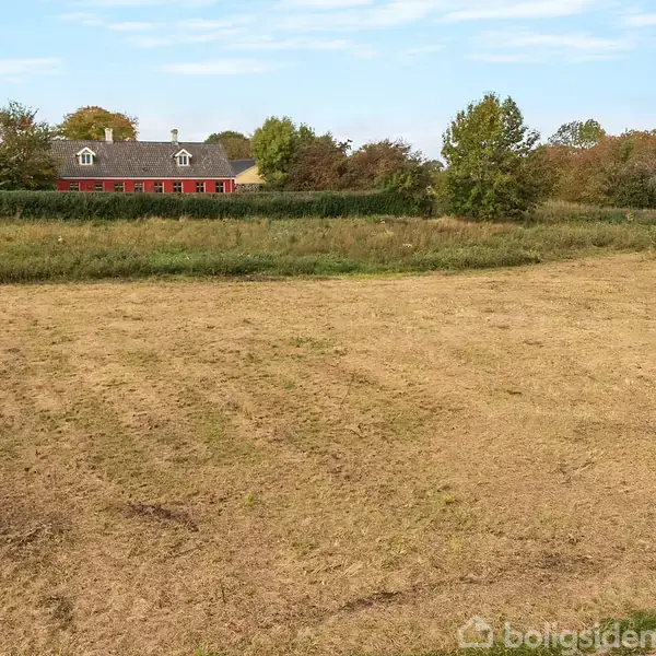 Græsmark ligger foran en vej med lav hæk. I baggrunden ses et hus med røde vinduer, omgivet af træer under en delvist skyet himmel.