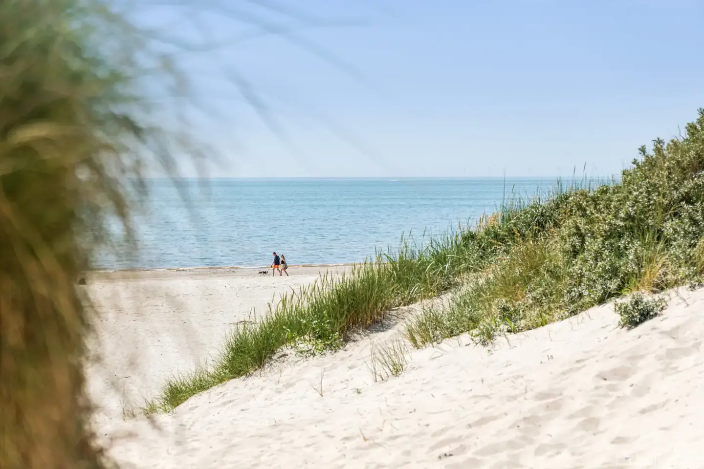 Anseelig klitgrund med udsigt over Vesterhavet og Blåvandshuk Fyr - Visning 3
