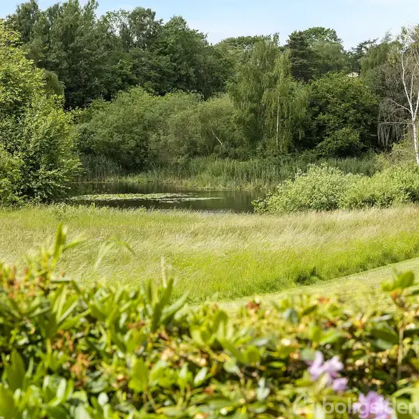 En fredfyldt sø omgivet af højt græs og buske. I baggrunden ses tæt skov, mens forgrunden har blomstrende buske, der tilføjer farve til landskabet.