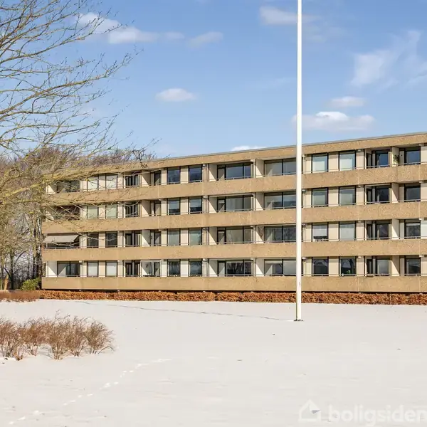 Bygning med flere etager står stille om vinteren. Det omkringliggende landskab er dækket af sne, der er et bart træ til venstre og en flagstang foran bygningen.
