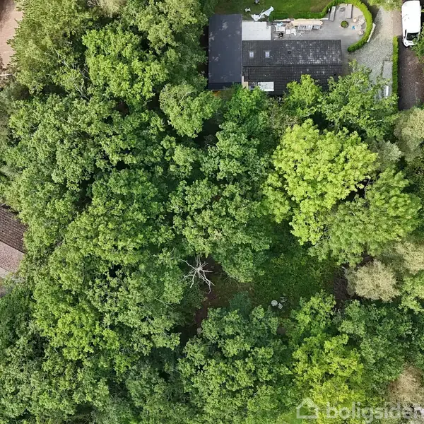 Huset ses fra oven, omgivet af tæt skov. En hvid bil står parkeret i en indkørsel ved siden af huset. Omkringliggende områder fremstår frodige med grønne trætoppe.