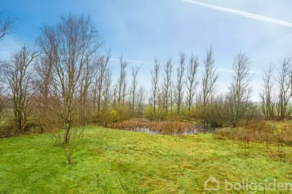 En græsmark med spredte træer omkranser en lille sø i et åbent landskab under en klar blå himmel. Træerne har bare grene, som indikerer vinter- eller tidlig forårssæson.