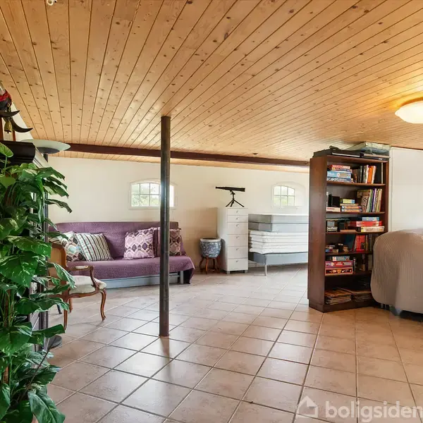 Et opholdsrum med en lilla sofa og puder til venstre, en seng dækket med gråt sengetæppe til højre, en reol bag sengen, og en grøn plante. Trægulve og lyse vægge omkranser rummet.