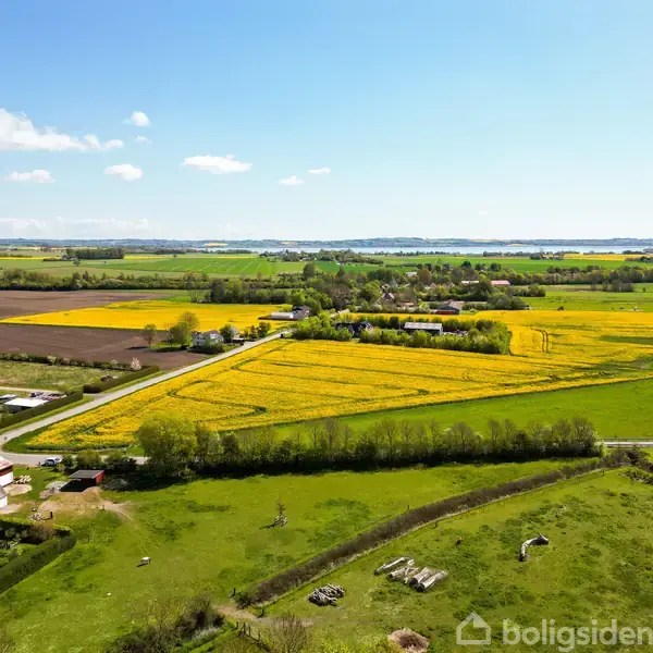 Markeret blomstrer med gyldene marker, omgivet af grønne enge og veje. En landsby ses i baggrunden under en klar, blå himmel med enkelte skyer.