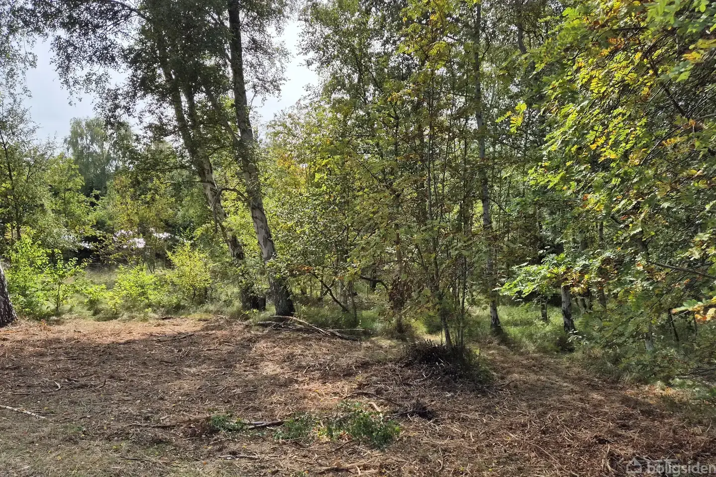 Fritidsgrund på Blåmunkevej 4, 9940 Læsø