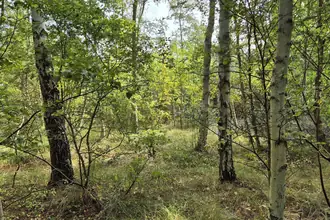 Fritidsgrund på Blåmunkevej 4, Vesterø, 9940 Læsø