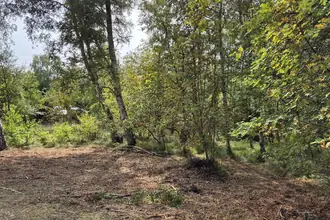 Fritidsgrund på Blåmunkevej 4, Vesterø, 9940 Læsø