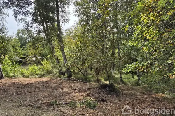 Fritidsgrund på Blåmunkevej 4, 9940 Læsø
