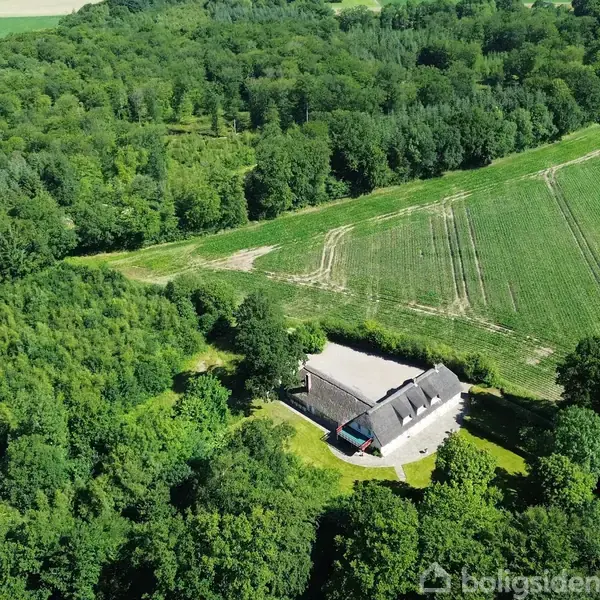 Hus omgivet af tæt skov og åbne marker. Bygningen står stille, omgivet af grønne træer og en stor plads.