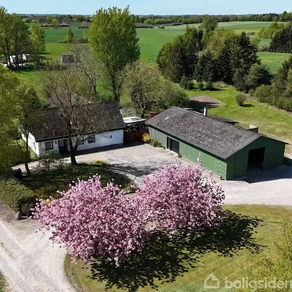 Hus og garage omgivet af en grusvej og grønne marker. Foran bygningerne blomstrer to lyserøde træer, og skov ses i baggrunden.