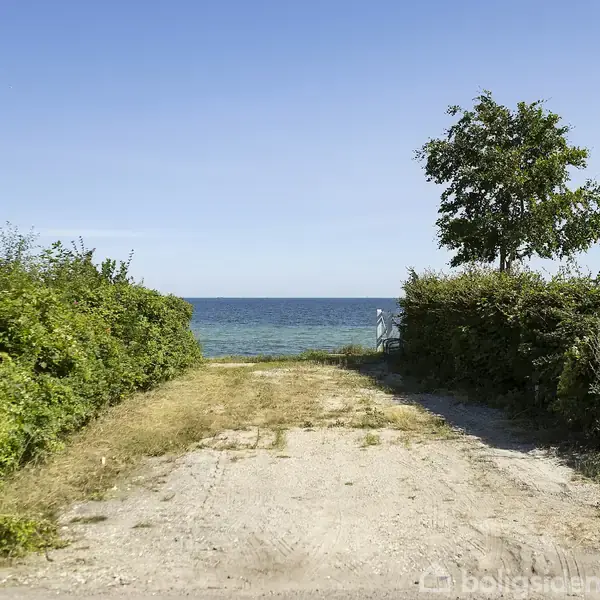En grusvej fører direkte til havet, omkranset af frodige buske og et enkelt træ. I baggrunden ses det blå ocean under en klar blå himmel.