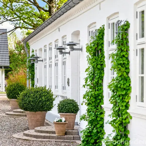 Hvid bygning med store vinduer dækket af grønne planter. Tre lamper er monteret på væggen. Foran står urtepotter med buske på en grusvej under en blå himmel.