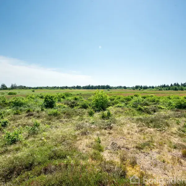 Landskabet består af en åben mark med spredte grønne buske og lav vegetation. Himlen er klar med en blå nuance, og skove kan ses i horisonten.