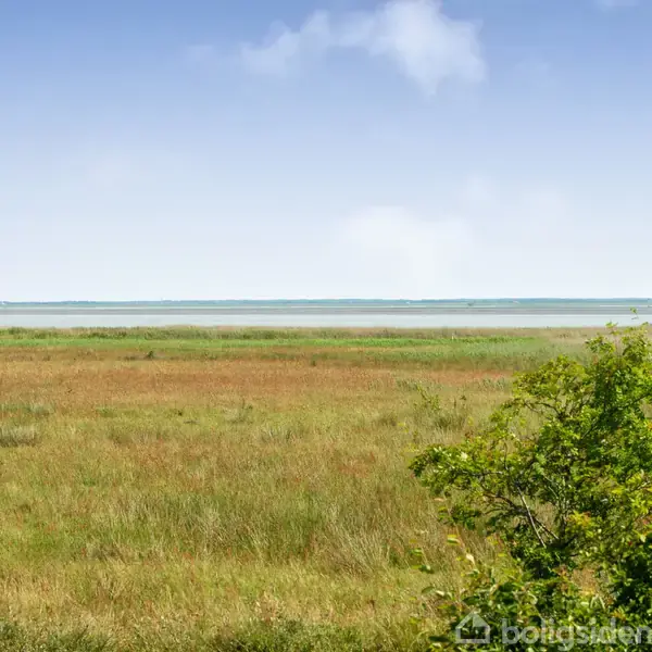 Eng: A grassy field sits still, bordered by a large, tranquil body of water under a clear sky. Two distant trees frame the serene landscape.
Dan: En græsmark ligger stille, omgivet af et stort, roligt vandområde under en klar himmel. To fjerne træer indrammer det fredelige landskab.