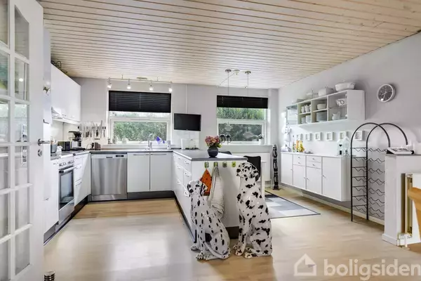 Et lyst køkken med hvidt interiør dominerer rummet. To dalmatiner-skulpturer står op ad en køkkenø, omgivet af skabe, ovn og opvaskemaskine. Store vinduer åbner ud til en grøn udsigt.