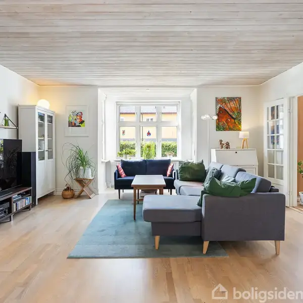 Stue med L-formet grå sofa og sofabord på et blåt tæppe, omgivet af reoler, en fladskærms-TV, grønne planter og store vinduer, der giver naturligt lys.