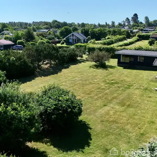 Grønt græsareal omgivet af flere sorte træhuse. Buske og træer skaber naturlig afgrænsning mellem ejendommene. Solrig dag med klar blå himmel og frodig vegetation i baggrunden.