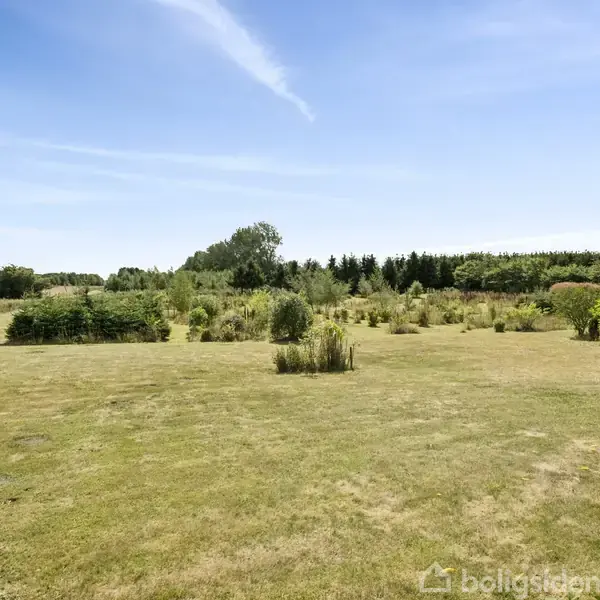 Græsplæne strækker sig ud i et åbent landskab med spredte buske og træer. Baggrunden består af en række tætstående træer under en blå himmel.