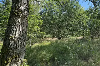 Fritidsgrund på Knirren 7, 9340 Asaa