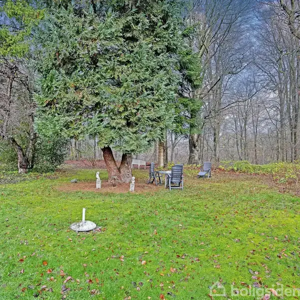 En stor grøn græsplæne med en stor, frodig træ i midten. Der står nogle udendørs havemøbler omkring træet. Baggrunden er en skov med løvtræer.