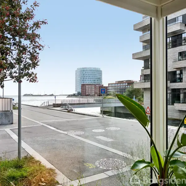 En gade set fra et vindue med en plante i forgrunden. En moderne bygning står til højre, og i baggrunden ses vand og flere bygninger med en blå himmel.
