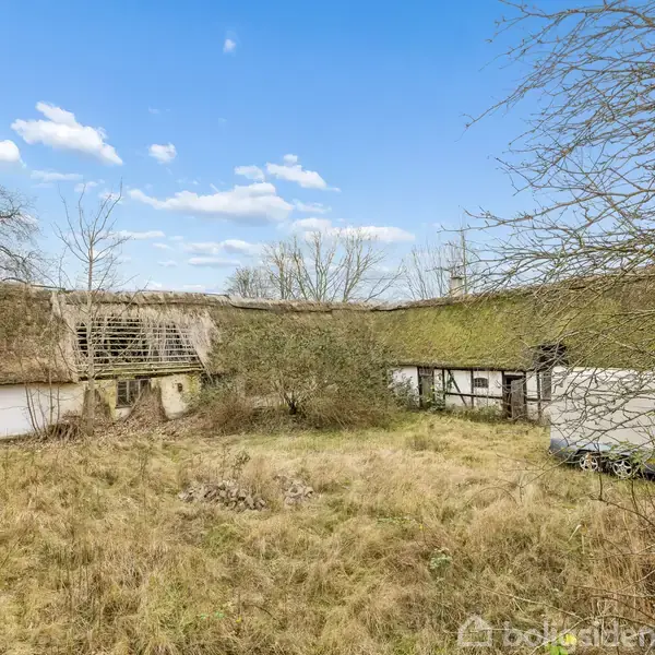 En forladt bondegård med stråtag forfalder i en overgroet græsmark omgivet af nøgne træer under en blå himmel. En hvid varevogn står foran bygningen.