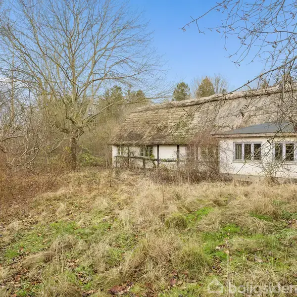 Et gammelt hus med stråtag står forladt i et tilgroet område med træer og græs omkring. Vinduernes glas ser intakte ud, mens taget er delvist dækket af mos.